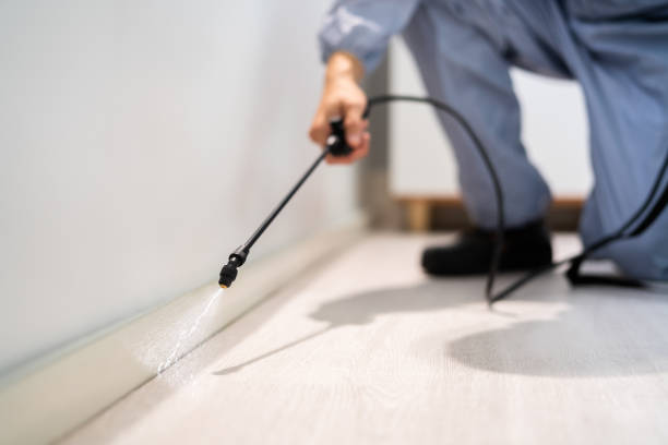 Licensed Cockroach Control service in Nokomis, IL - Nex Pest Control