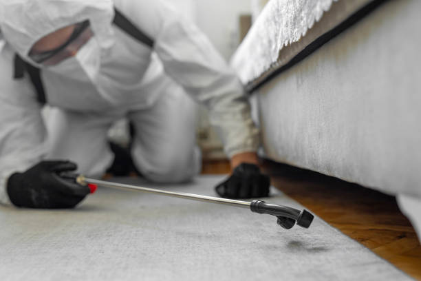 Professional Cockroach Control technician working in Nokomis, IL