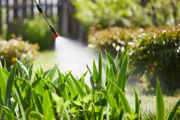24/7 Emergency Cockroach Control experts in Nokomis, IL