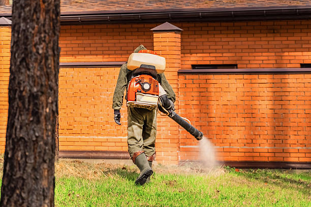 Top rated local Cockroach Control specialists in Nokomis, IL
